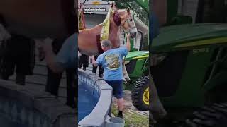 Florida firefighters rescue horse that fell into a pool #shorts