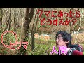 ヒグマとの近距離遭遇!~ベアハンターの回避行動~【クマにあったらどうするか】act4