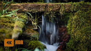 Relaxing Spring Stream And Birds Singing _ Small Quiet Waterfall _ sounds of a stream in nature