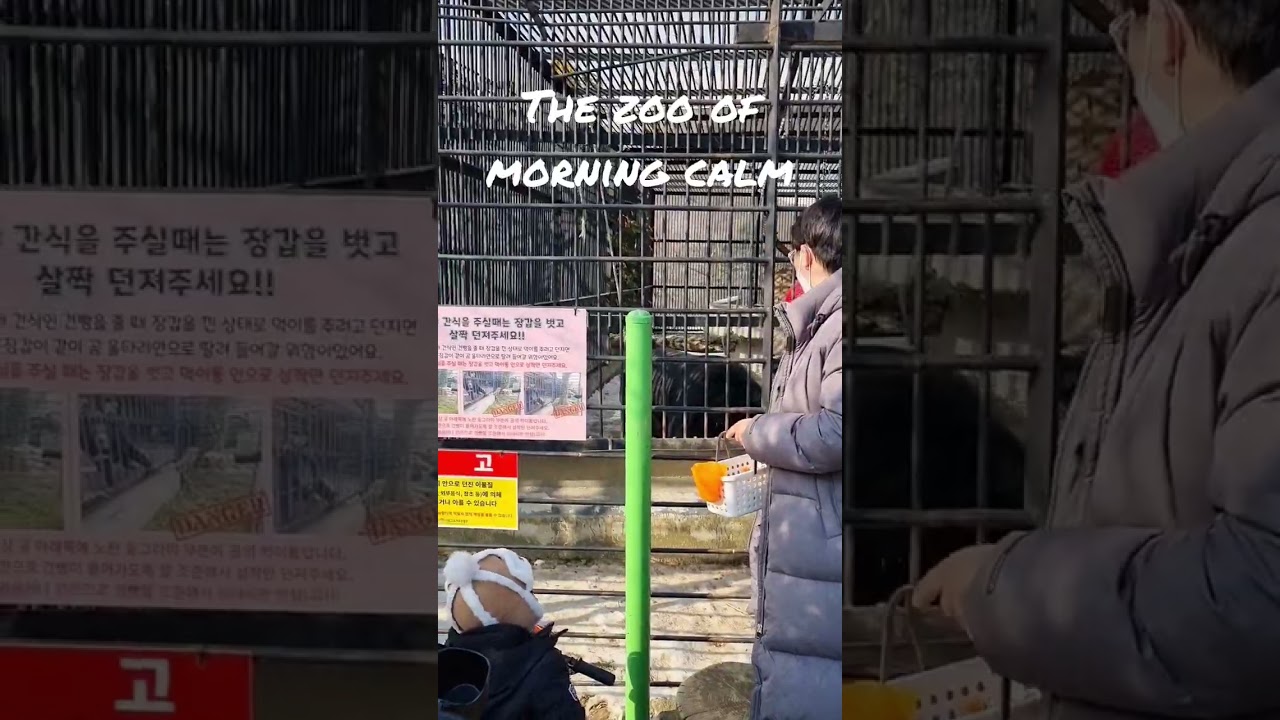 가족여행 가평 가볼만한 곳! 아침고요가족동물원_HJVLOG