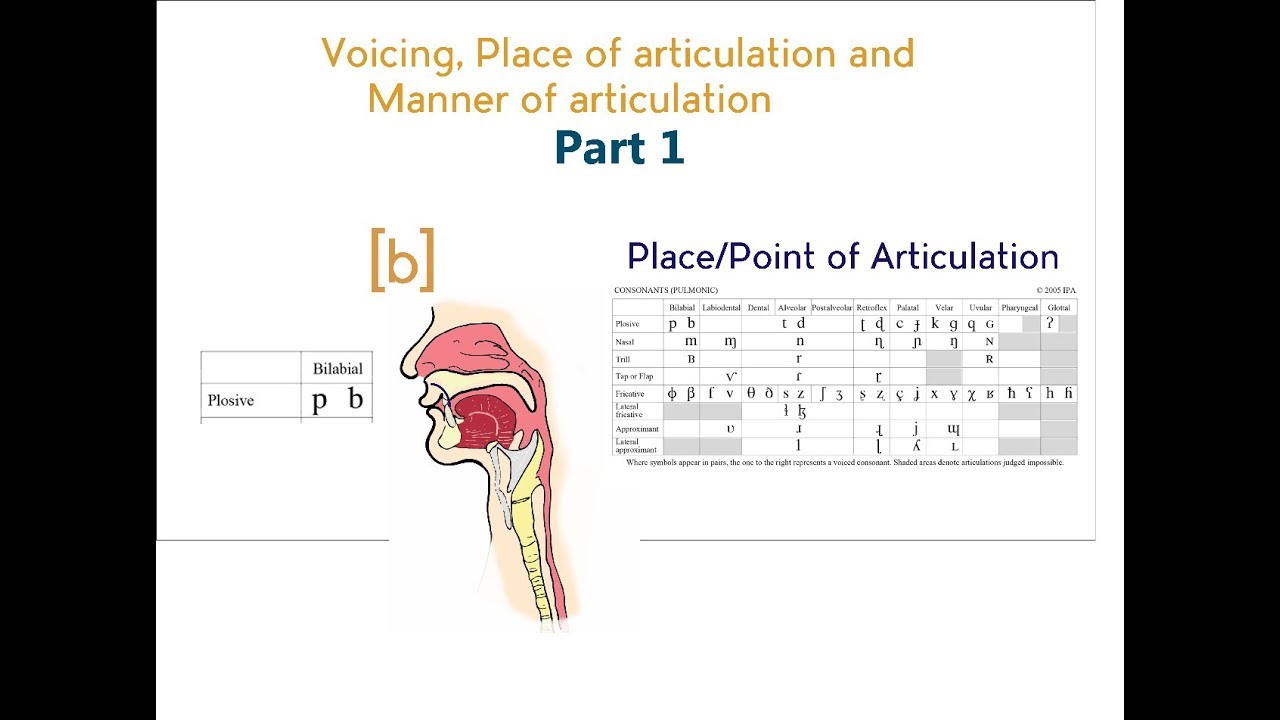 Voicing, Place & Manner of Articulation - Part 1 - YouTube