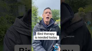 Bird Therapy Was Exactly What I Needed #shorts