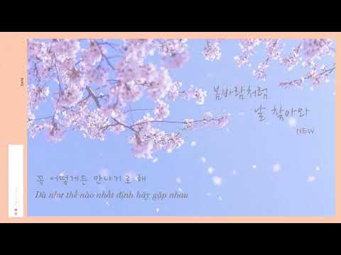 Vietsub | Spring Breeze 🌸 봄바람처럼 날 찾아와 - NEW (뉴) THE BOYZ (Business Proposal OST Part 9)