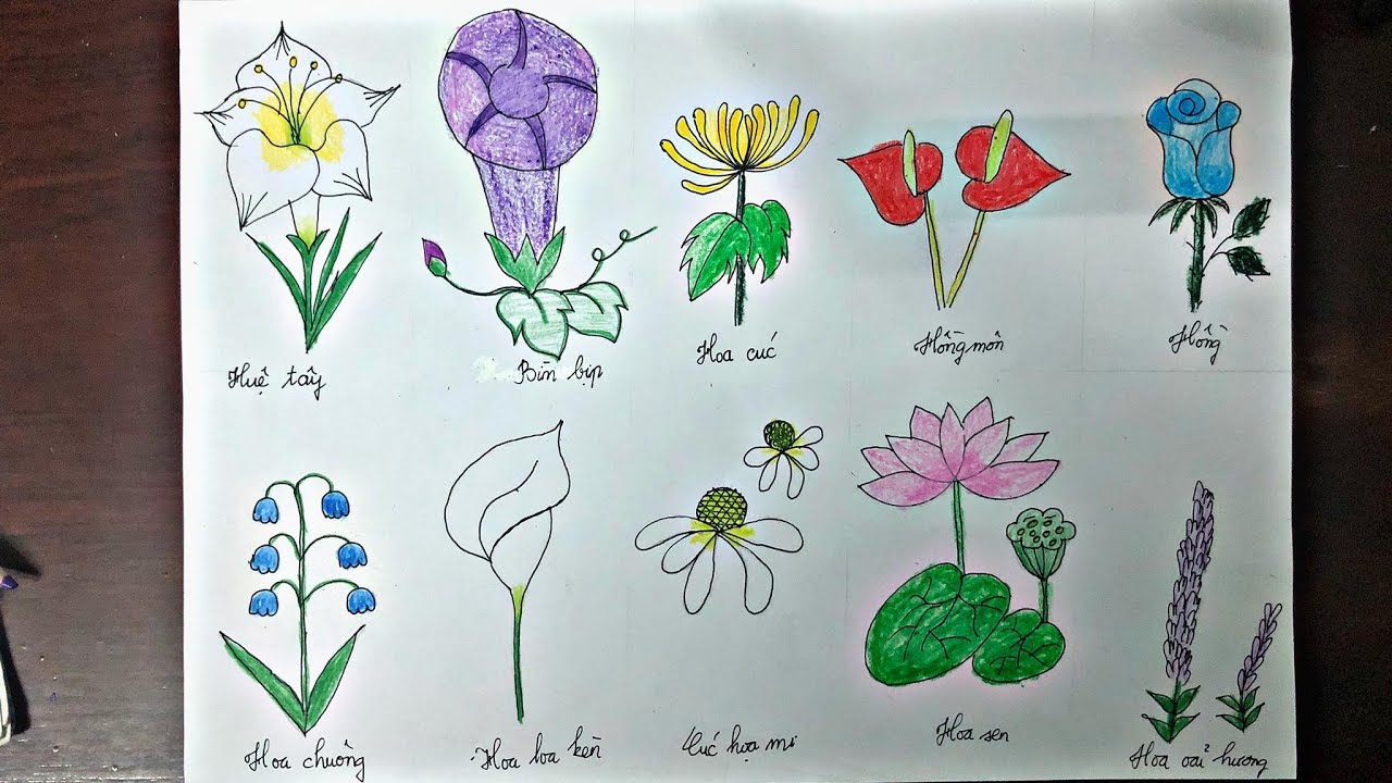 Vẽ 10 Loại Hoa Lá Đơn Giản | How To Draw 10 Different Flowers Is Very Easy  - Youtube