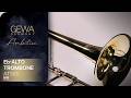 GEWA Germany Eb-Alto Trombone AT501 Ambition