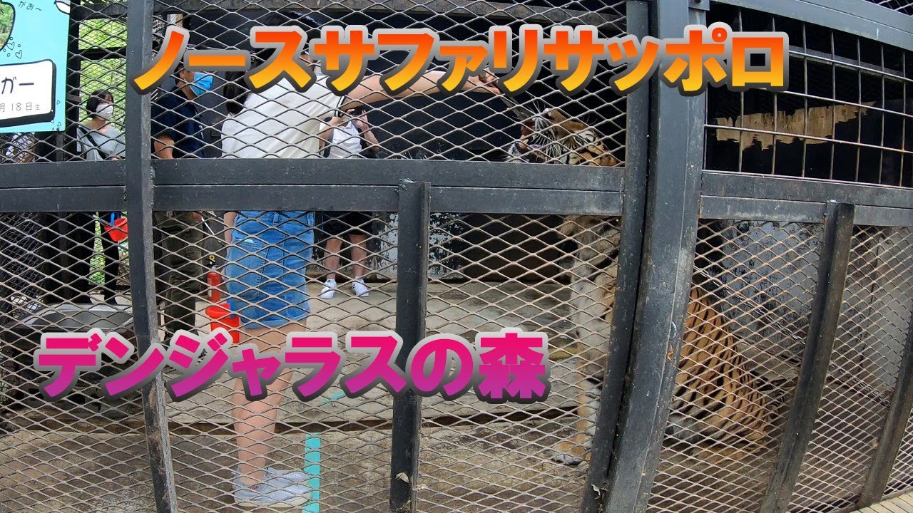 ノースサファリサッポロへのアクセスと魅力 北海道 札幌観光 滝山慎治ブログ ノースサファリサッポロへのアクセスと魅力 北海道 札幌観光 滝山慎治ブログ