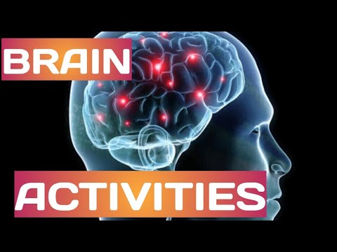 Can Reduced Brain Activity Boost Longevity