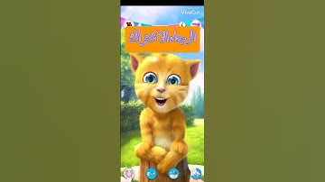 سورة الفجر
