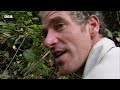 A Giant 5 Metre Anaconda Leads To Nature's Creepiest Discovery | Expedition Guyana | BBC Earth