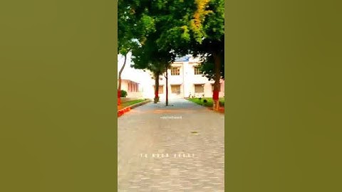 Chaudhary Charan Singh University Day View #ccs #ccsu #trending #status #positivevibes #scriet #up