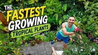 These are the FASTEST tropical plants in my New York Garden