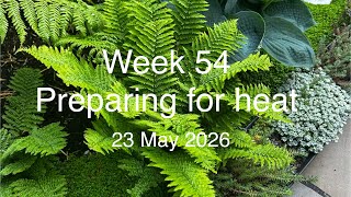Tropical Garden - week 54 - Weekly walkthrough and preparing for the heatwave - 23 May 2026