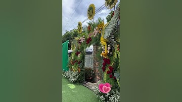 Đám cưới miền tây / cổng rồng phụng #nhạcđámcưới #damcuoi