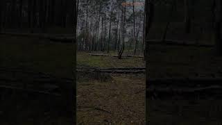 DEMOGORGAN caught on camera [SCARY] #shorts