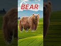 animal and their sound #ayanstoys #animalnames #english #animalsounds #shorts