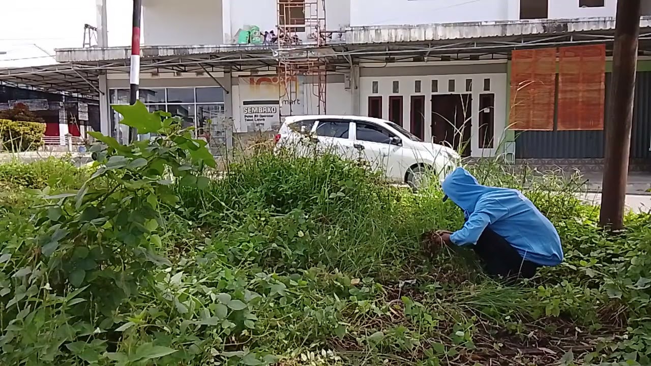 050326 Part 7: Panen Rumput... #BulanJihad 🚮♻️
