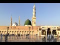 رأى البرق الحجازيا