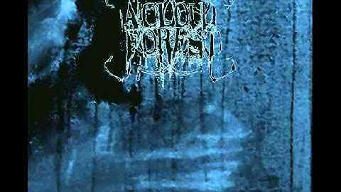 A Cloud Forest - Where Shadows Dissolve movement 03