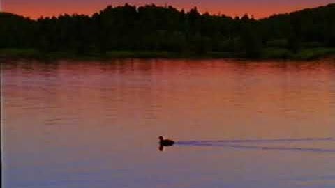 Sing And Dance Credits Comparison (Screener vs. Final Version) (V2) (1999 Version) FINAL PART