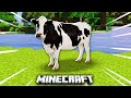 MINECRAFT vs NAJBARDZIEJ REALISTYCZNE MODY! *przesadziłem XD*