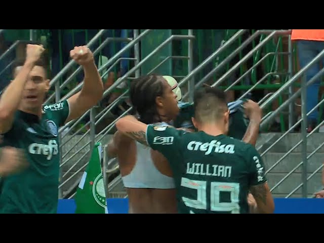 Palmeiras 1x1 boca Juniors Disputa de pênaltis #palmeiras #libertadore