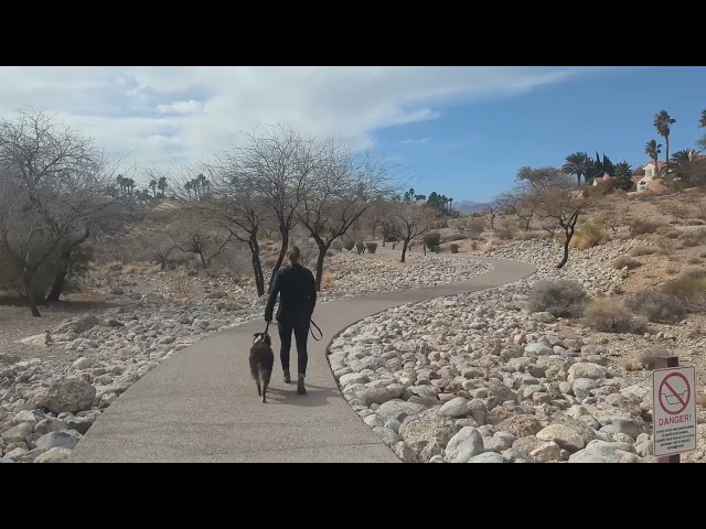 Summerlin NV Dog Training