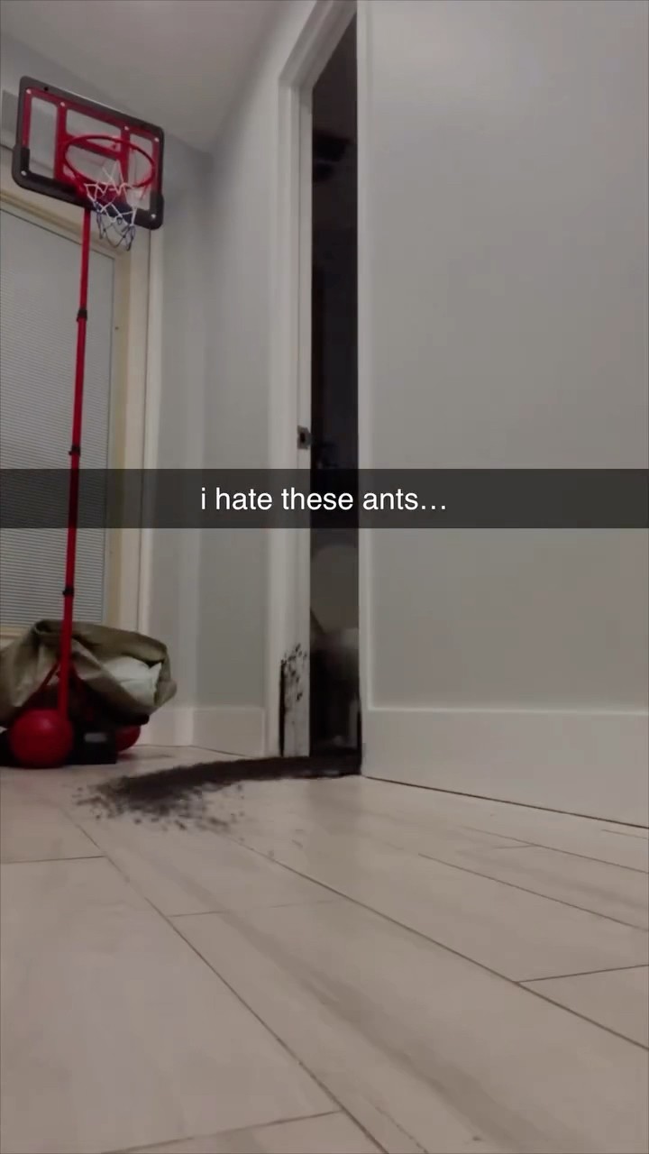 #JasonDeruloTV // Ants ? #GotPermissionToPost From @4d_buildss #HandsOnMe