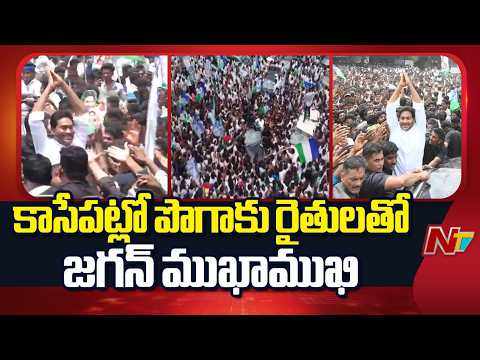 పొగాకు కొనుగోలు కేంద్రానికి చేరుకున్న వైఎస్ జగన్ | YS Jagan Devarapalli Tour  | NTV Telugu - NTVTELUGU