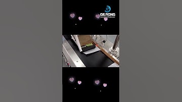 Stand up empty plastic bag pouch paging feeding labeling machine testing video