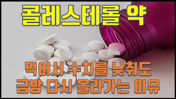 콜레스테롤약을 먹어서 수치가 낮아져도 금방 다시 올라가는 이유