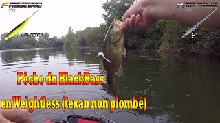 Pêche du Black Bass en weithgless  (texan non plombé) - Gopro HD