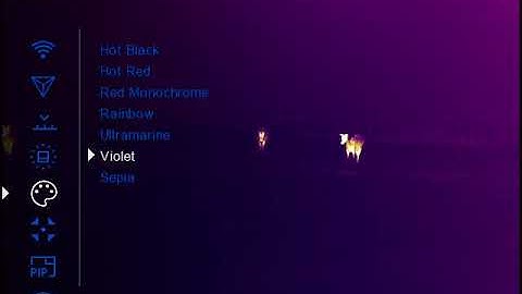 Pulsar ACCOLADE 2 LRF XP50 PRO SERIES - New Flagship!