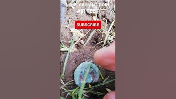 "Unbelievable! Watch This Ancient Relic Detect Iron Age Treasures with Minelab Manticore!"#shorts