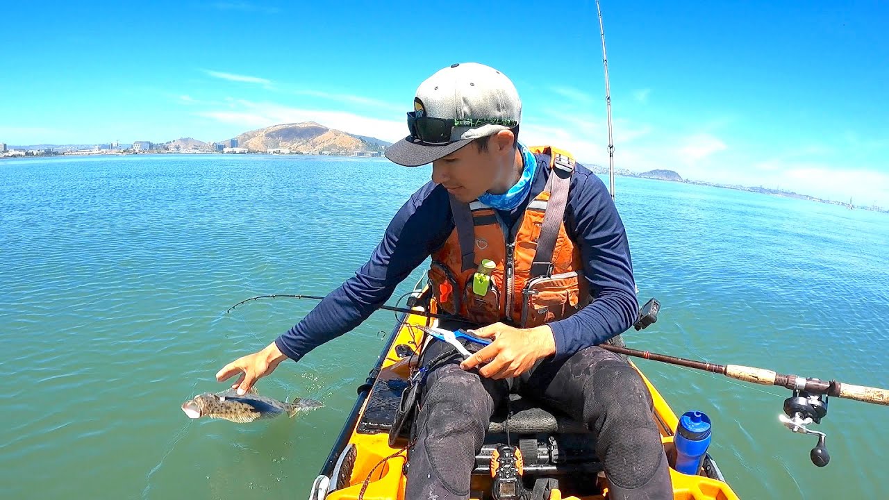 The MOST Halibut I have EVER CAUGHT Commercial Fishing in the San Francisco Bay YouTube