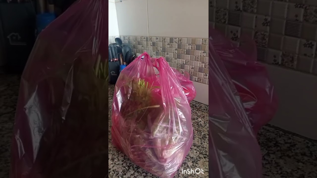 طلقت مرتي بسباب يماها 😱😱😱😱