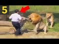 Top 5 DUMBEST Zoo Guests