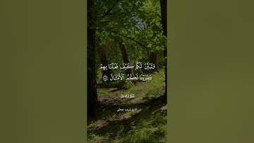 القارئ شريف مصطفى - سورة إبراهيم ﴿وَلا تَحْسَبَنَّ اللَّه غَافِلا عَمَّا يَعْمَلُ الظَّالِمُونََ﴾🌿🧡.