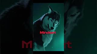 Wolf 🐺 mindset video shorts motivation video #fact #shorts