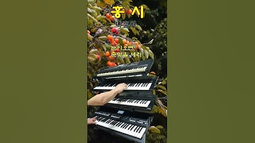 Thumbnail of 💝홍시/나훈아/전자올겐/Voice 더빙버전~