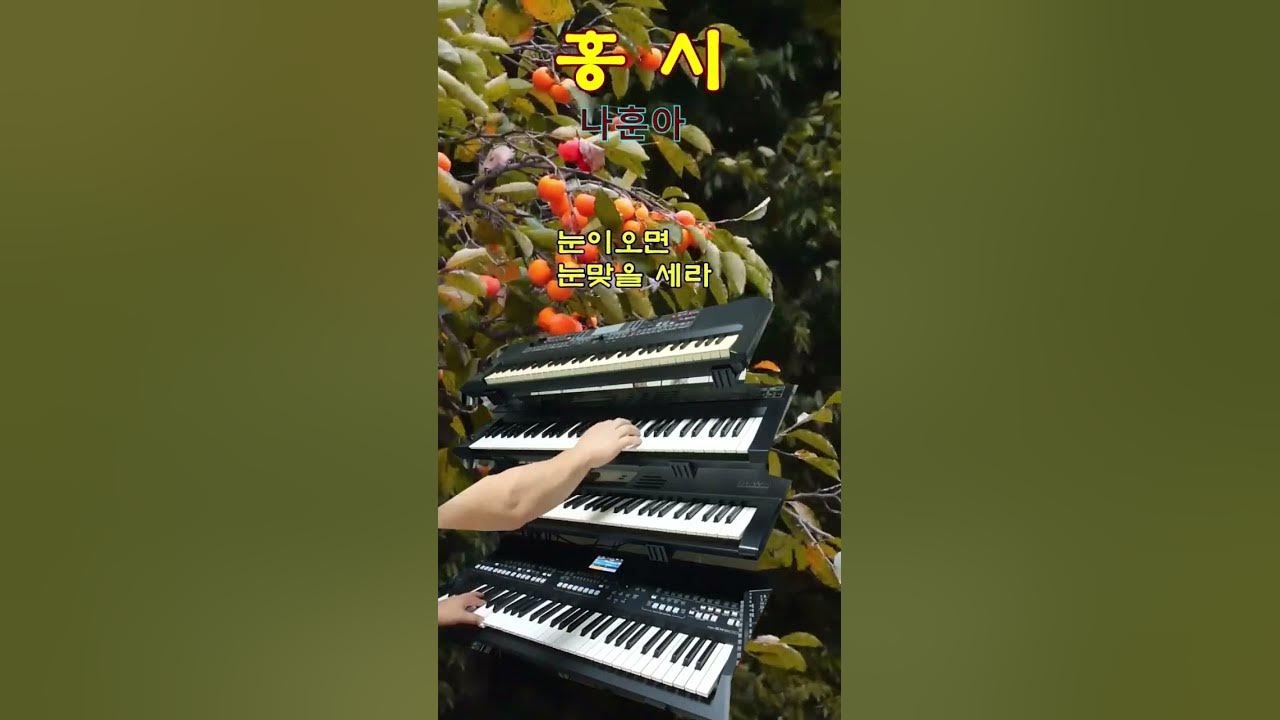 💝홍시/나훈아/전자올겐/Voice 더빙버전~