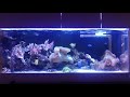 150cm海水水槽