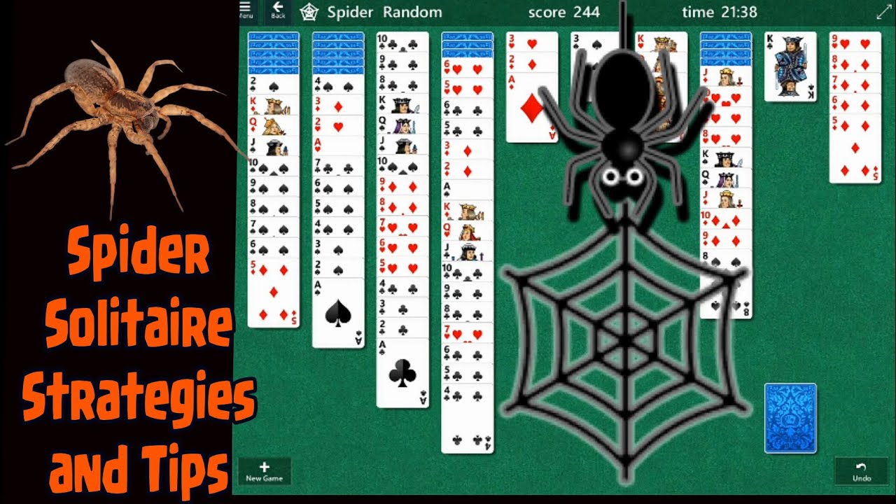 Spider Solitaire Mastery:Tips and Strategies ( Free download and