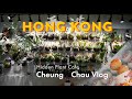 Hong kong plant cafe  local street foods biking fishballs  cheung chau vlog