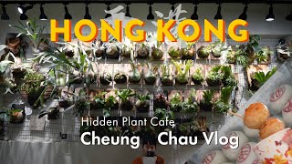 Hong Kong Plant Cafe 🌱 Local Street Foods, Biking, Fishballs | Cheung Chau Vlog by Feline Jungle 1,035 views 7 months ago 11 minutes, 58 seconds