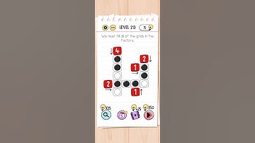 Level 213 brain test