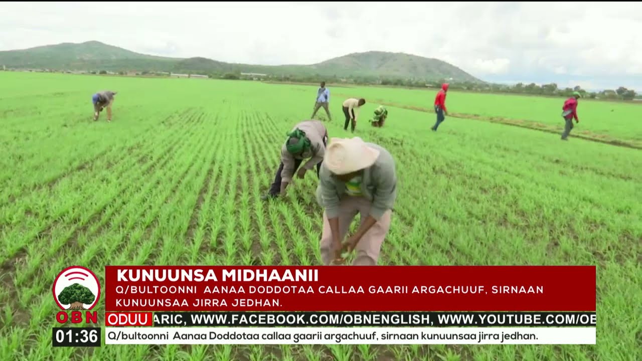 Oomisha Qamadii Kilaasteraa