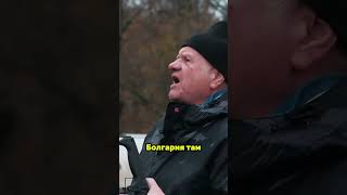 Обрезка Павлонии: секреты бесконечного роста