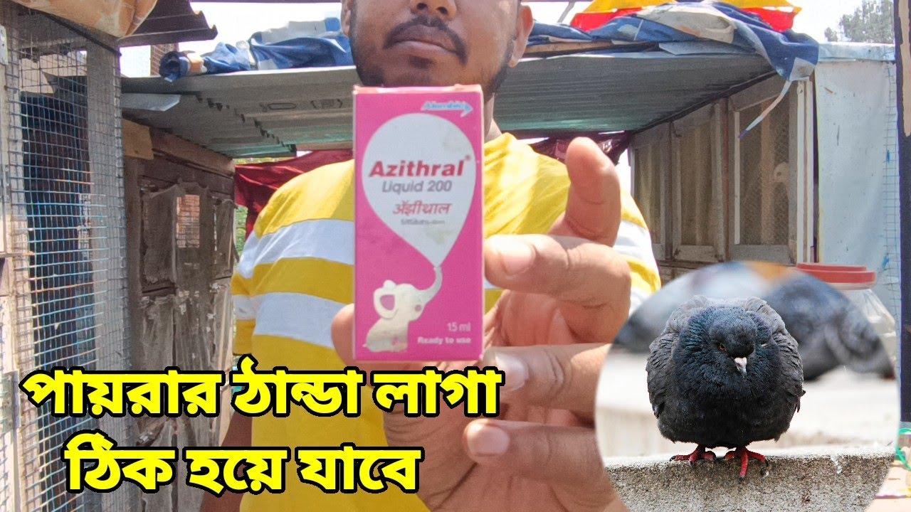 পায়রার ঠান্ডা লাগার ঔষধ | AZITHRAL 200 SYRUP