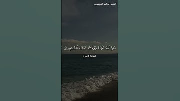 سورة الطور من آية 24 إلى آية 29 بصوت الشيخ ياسر الدوسري♥♥