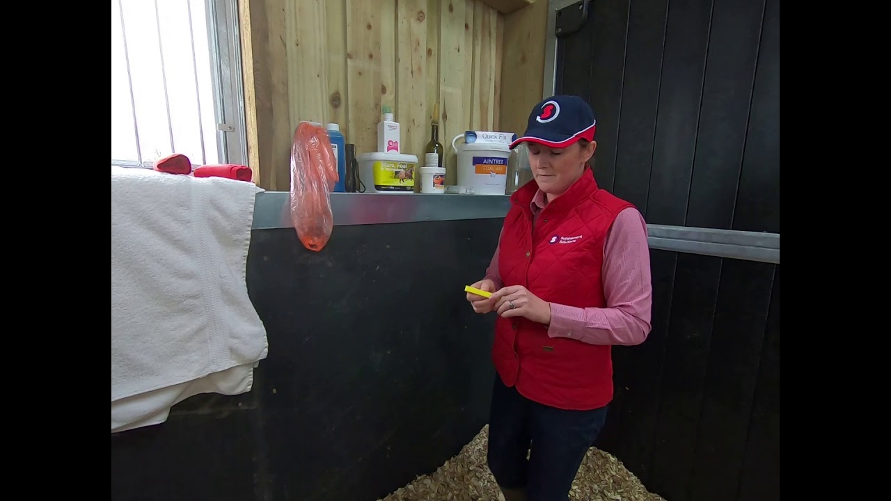 My mare is due to foal soon, how can I prepare?